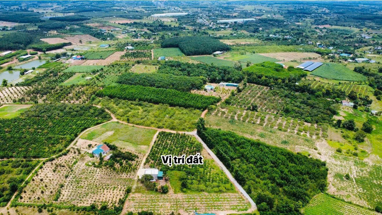 Bán đất 512m² giá 168 triệu tại Thị trấn Ea Knốp Huyện Ea Kar