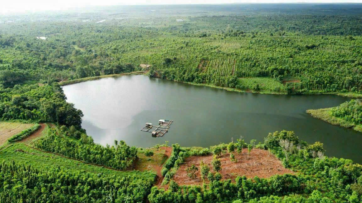 Bán đất 4800m² 3.2 tỷ tại Thị trấn Ea Pốk Huyện Cư M'gar