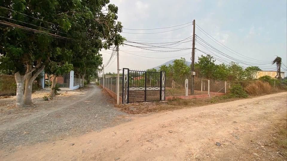 CẦN BÁN GẤP ĐẤT GÒ DẦU – TÂY NINH | GIÁ CHỈ 400 TRIỆU SHR