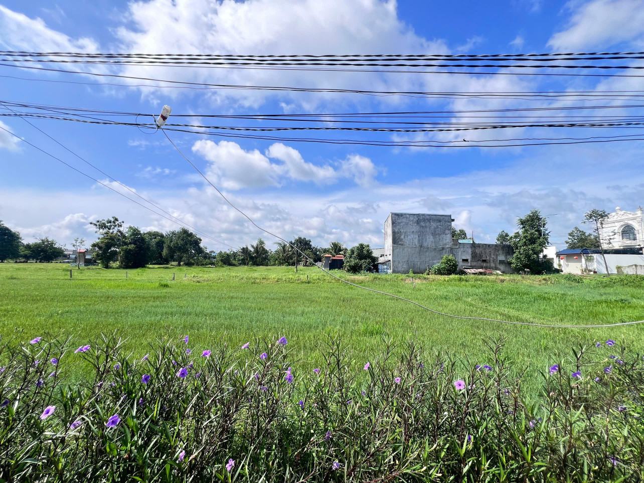 Bán đất 109.1m² ngang 5m giá 1.2 tỷ tại Thị trấn Hậu Nghĩa Huyện Đức Hòa