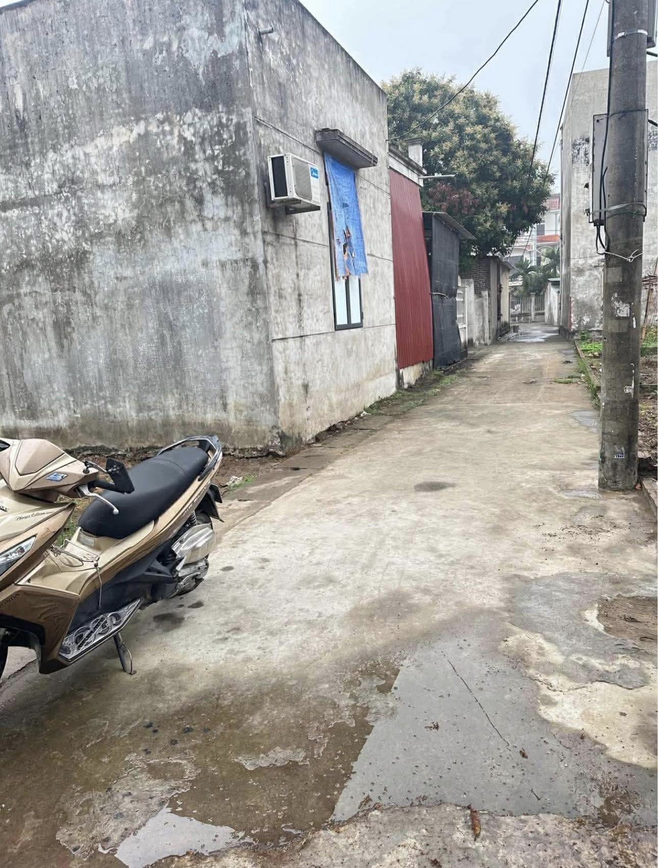 Bán lô đất thổ cư Ấp Đông Côi Thuận Thành Bắc Ninh