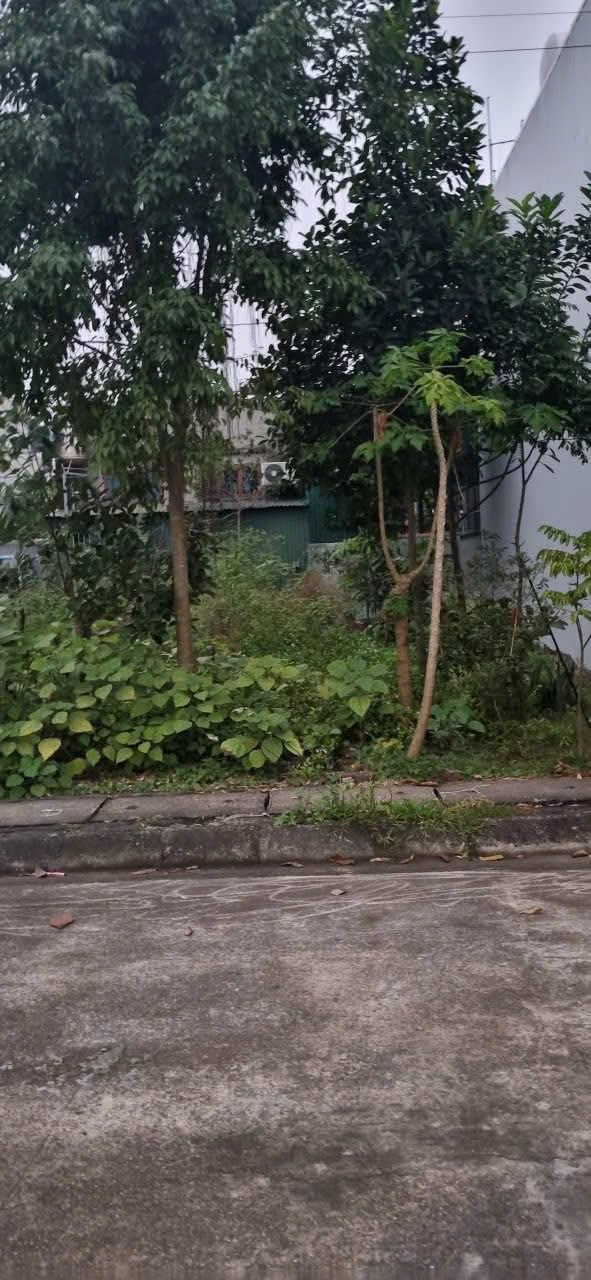 Bán đất khu đô thị Phúc Thành, Duy Tiên, Hà Nam ( Ninh Bình )