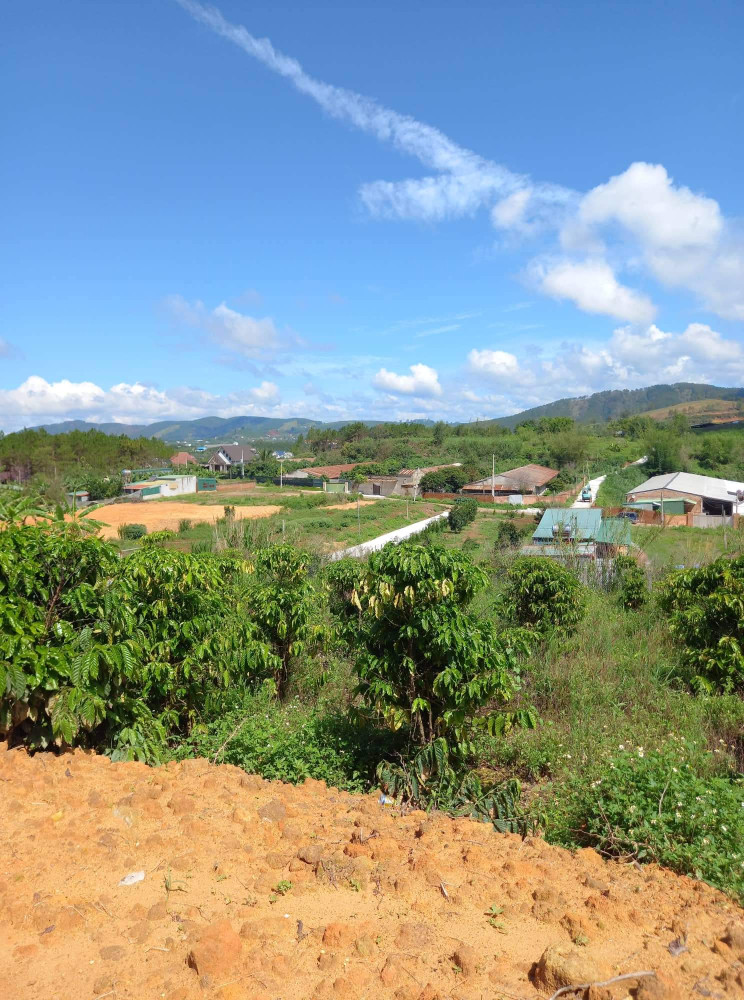 Bán  đất nông nghiệp 14700m² , giá 13.5 tỷ tại, Thị trấn Lạc Dương, Huyện Lạc Dương, Lâm Đồng