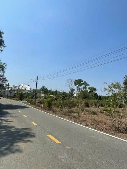 NỢ...Cần bán 2100m2 full Hồng đường Nhựa Đất ở Bàu Bàng