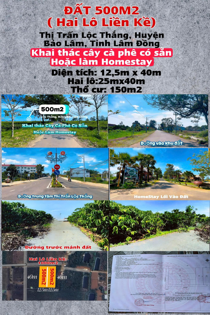 Đất Đẹp -Giá Tốt -  CẦN BÁN GẤP 2 LÔ LIỀN KỀ  tại Thị Trấn Lộc Thắng ,huyện Bảo Lộc, tỉnh Lâm Đồng