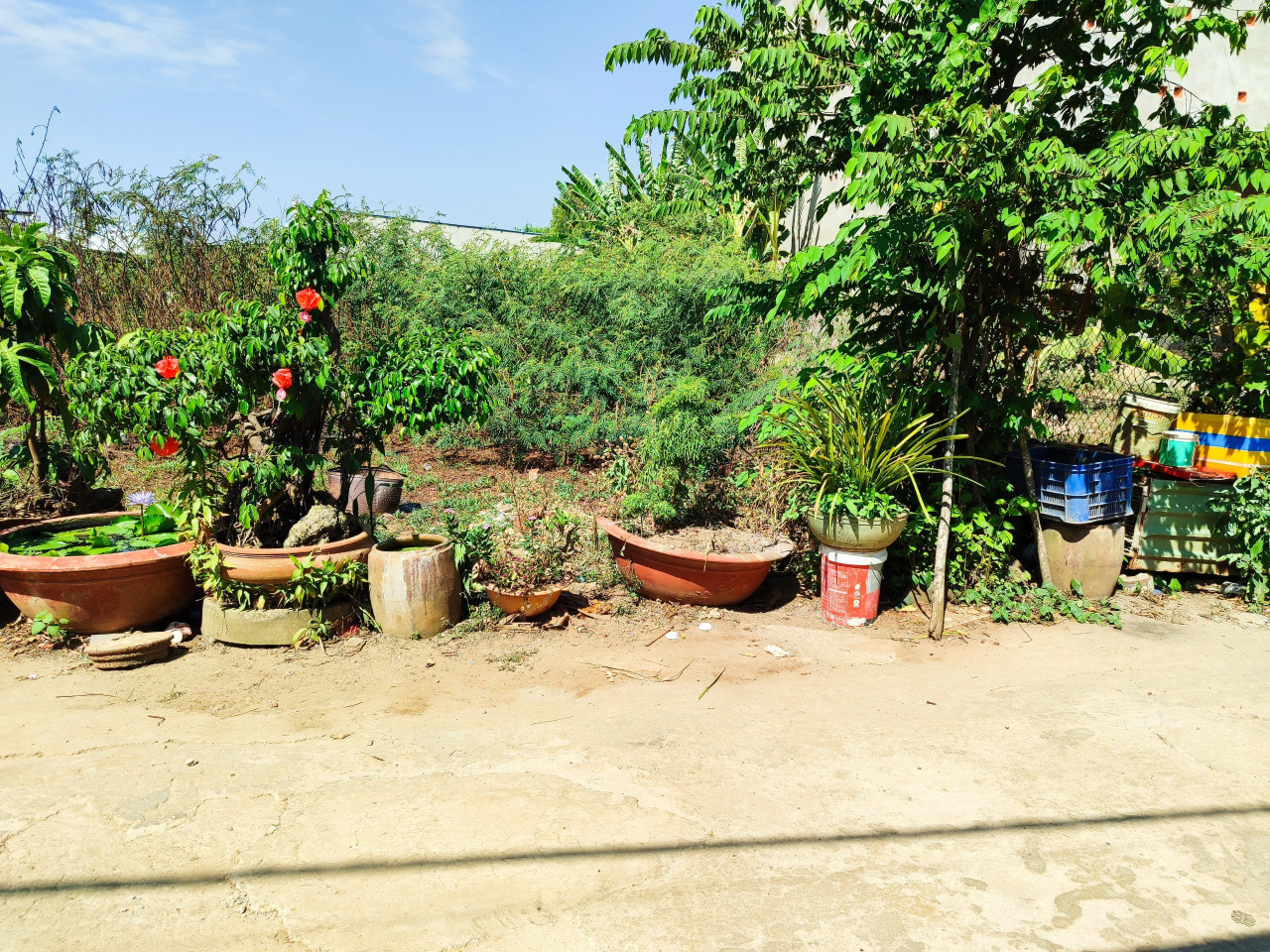 Cần bán lô đất ngay chợ Long Điền giá ngộp