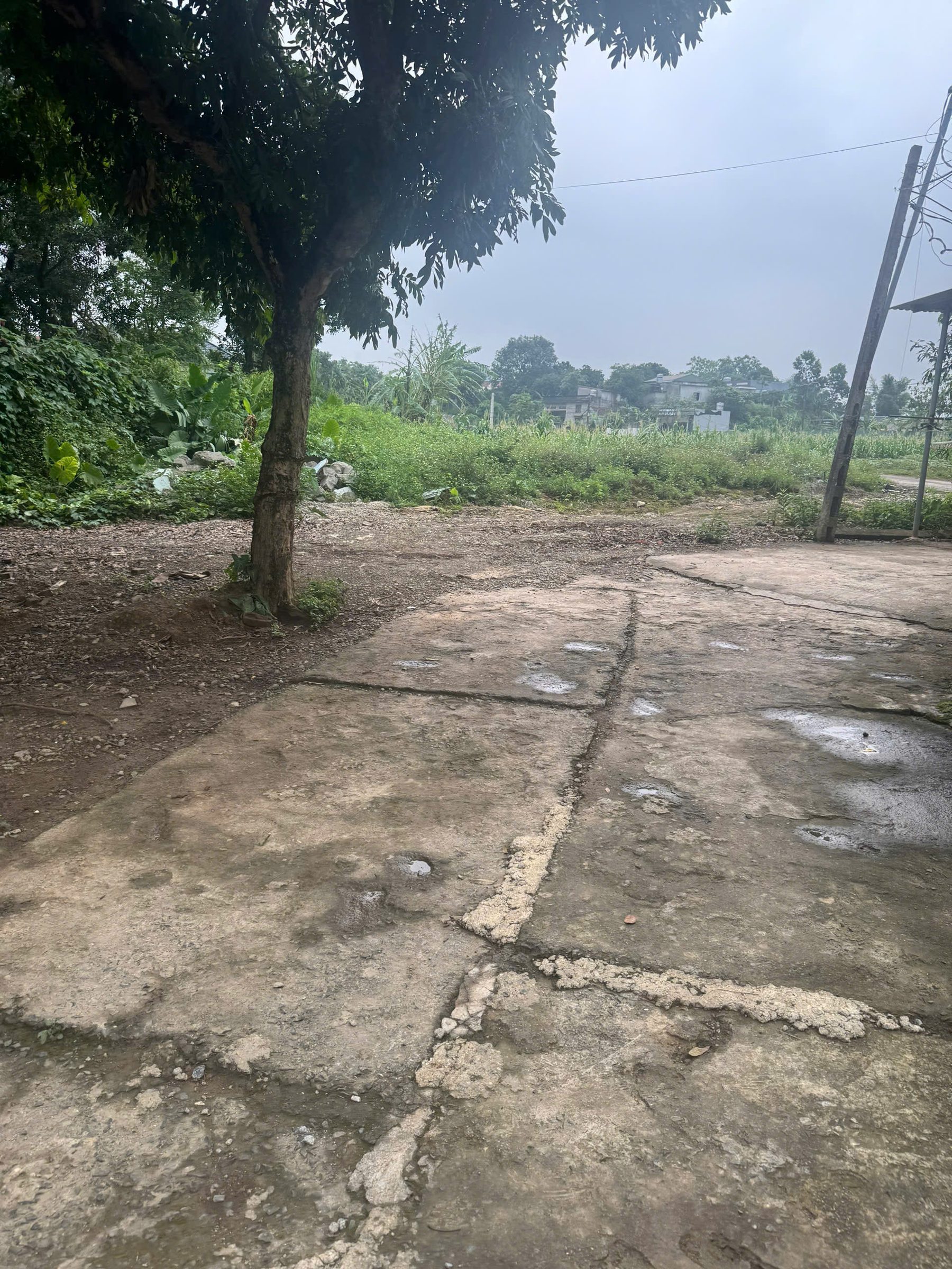 100m full thổ cư - đất thị trấn - cách QL chỉ 100m - giá đầu tư