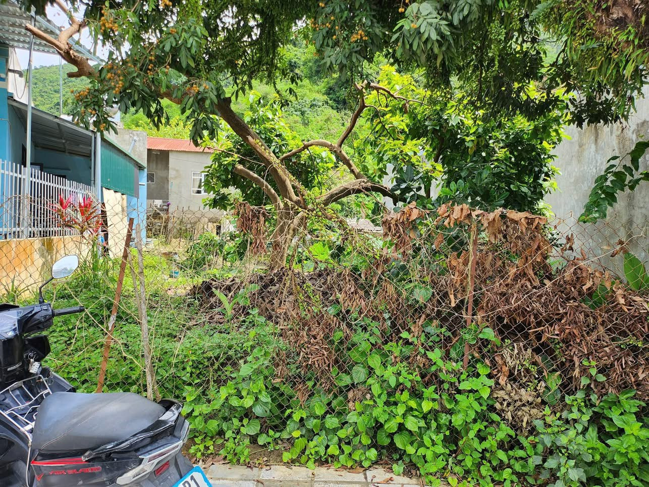 Bán đất thị trấn 0921499496