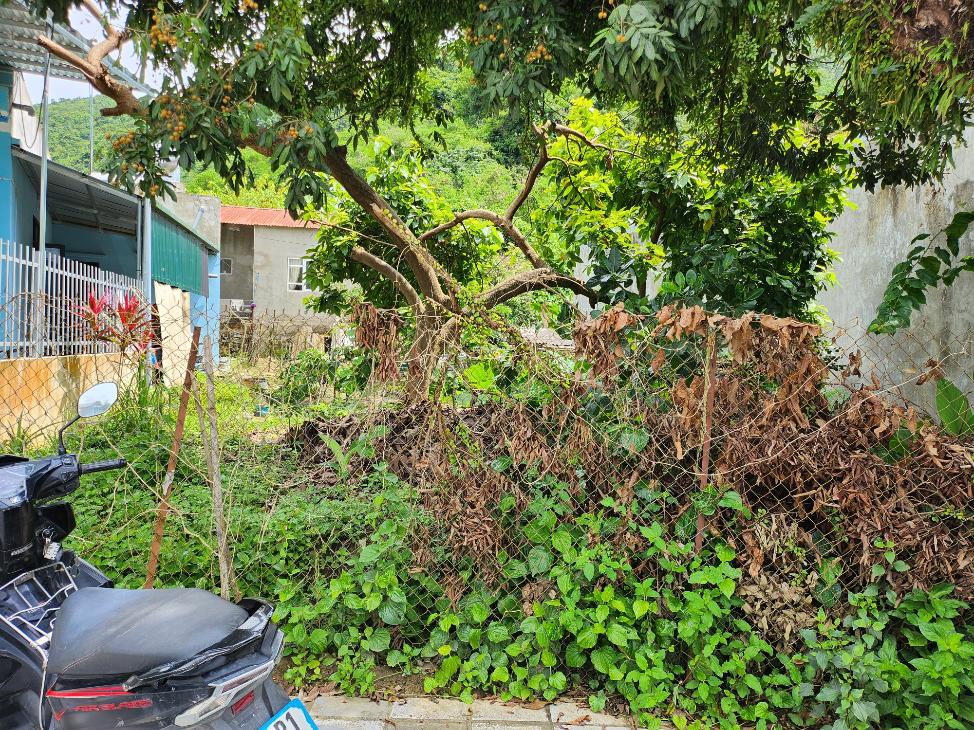 Bân đất năth 279 Mường Ảng
