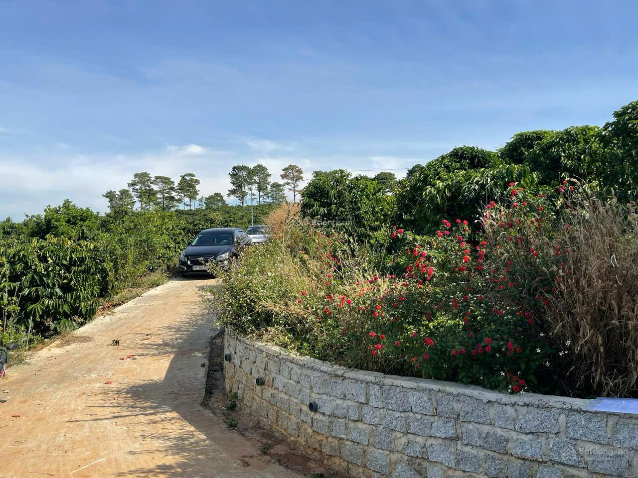 Bán 7800m2 đất tại Nam Ban