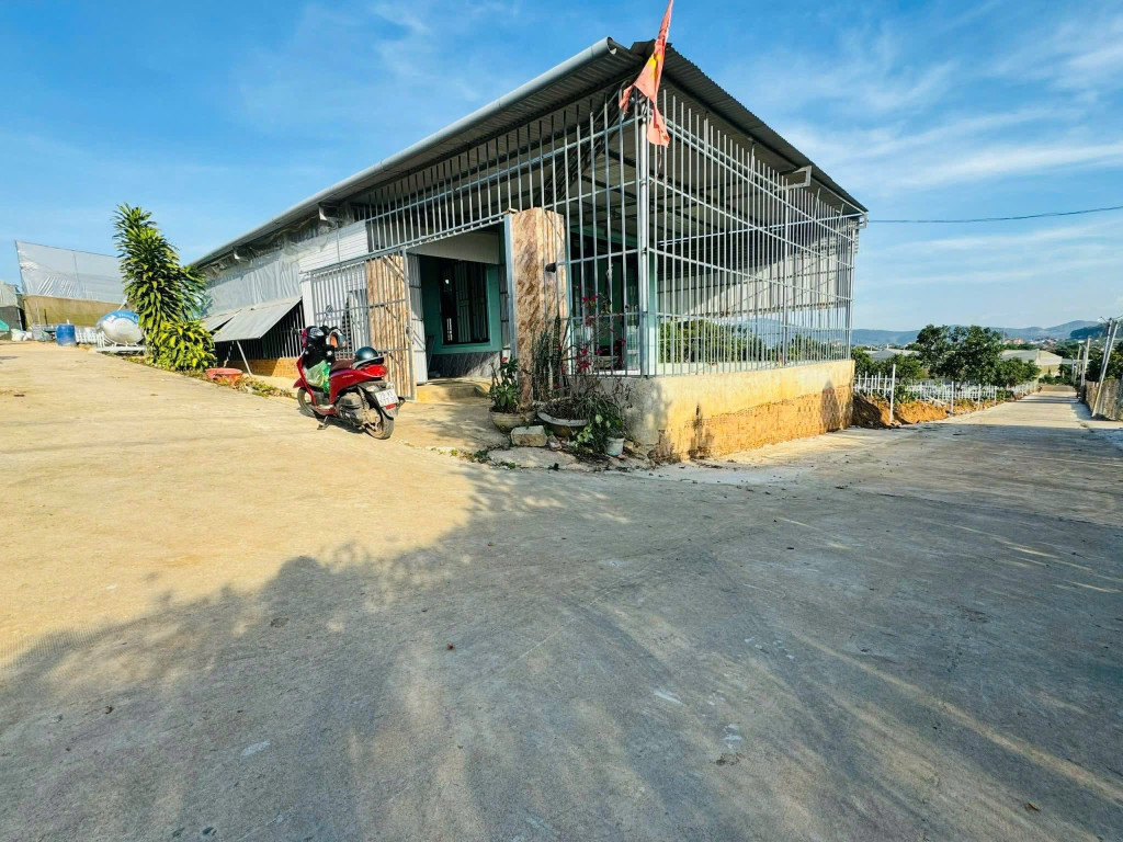 Bán 🏡 2 mặt Tiền TT Nam Ban cách DT725 1,4km có nhà sẵn, ☎️ LH Zalo 0938.609.098 Phước Trọng