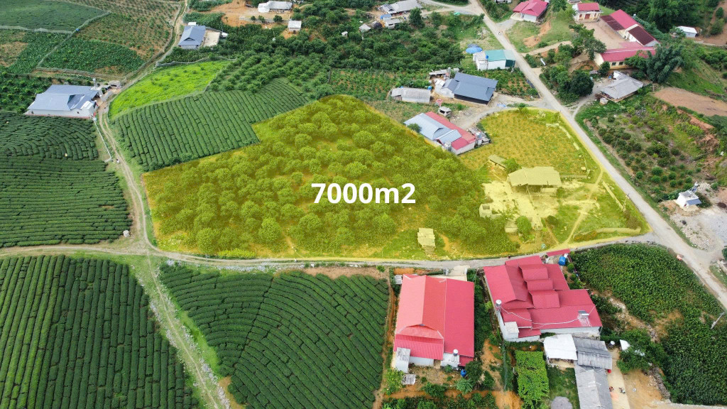 🌿 7.000M² ĐẤT ĐẸP MỘC CHÂU – LÝ TƯỞNG LÀM FARMSTAY, HOMESTAY NGHỈ DƯỠNG 🏡
