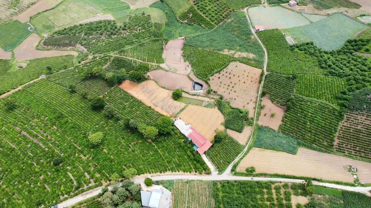 ĐẤT ĐẸP MỘC CHÂU - 5000m² (400 THỔ CƯ) - VIEW CHÈ ĐẸP - SẴN AO - GẦN HỒ ĐIỀU HÒA - 1,X TRIỆU/M2