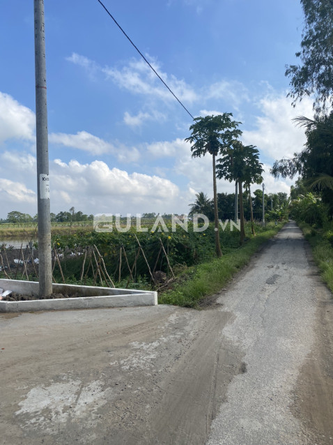 Bán 5 công đất đã lên vườn đường oto Phú Hòa, Thoại Sơn