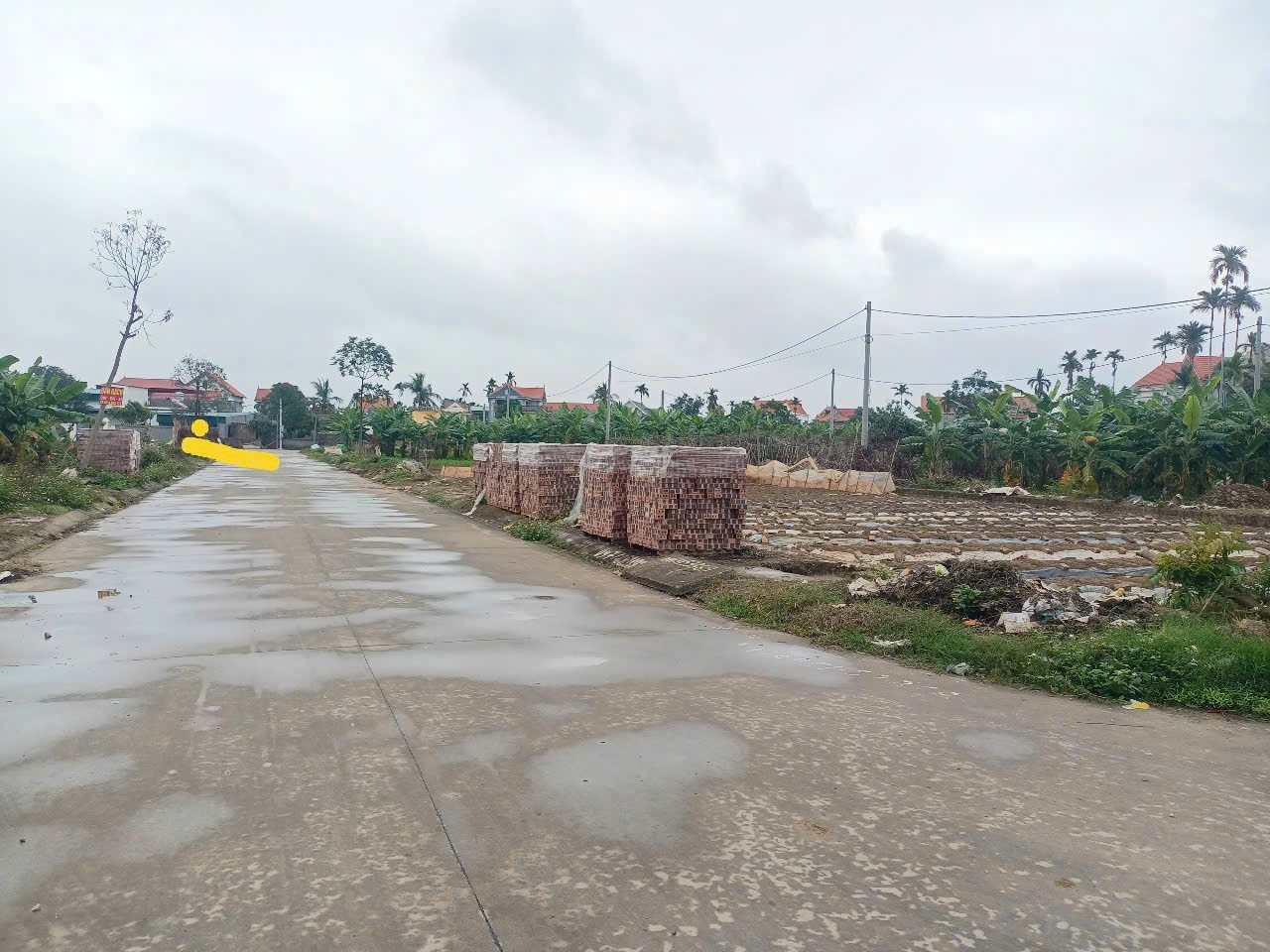 🏡 BÁN ĐẤT ĐẤU GIÁ THIỆN ĐÁP – KIM THÀNH – HẢI DƯƠNG