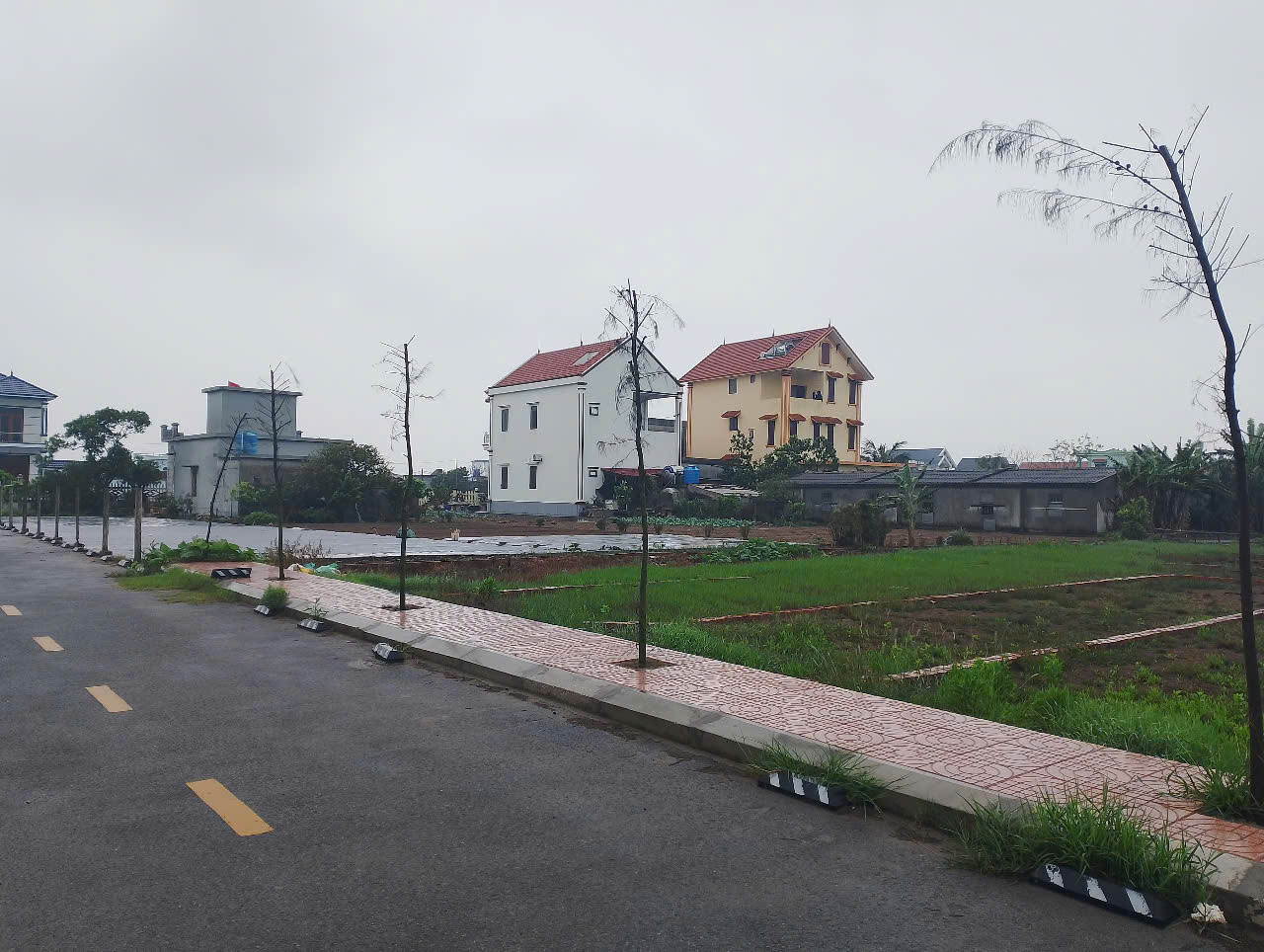 ĐẤT VÀNG QUẤT LÂM: CƠ HỘI ĐẦU TƯ VÀNG TẠI QUẤT LÂM – CÁCH BÃI TẮM CHỈ 50M
