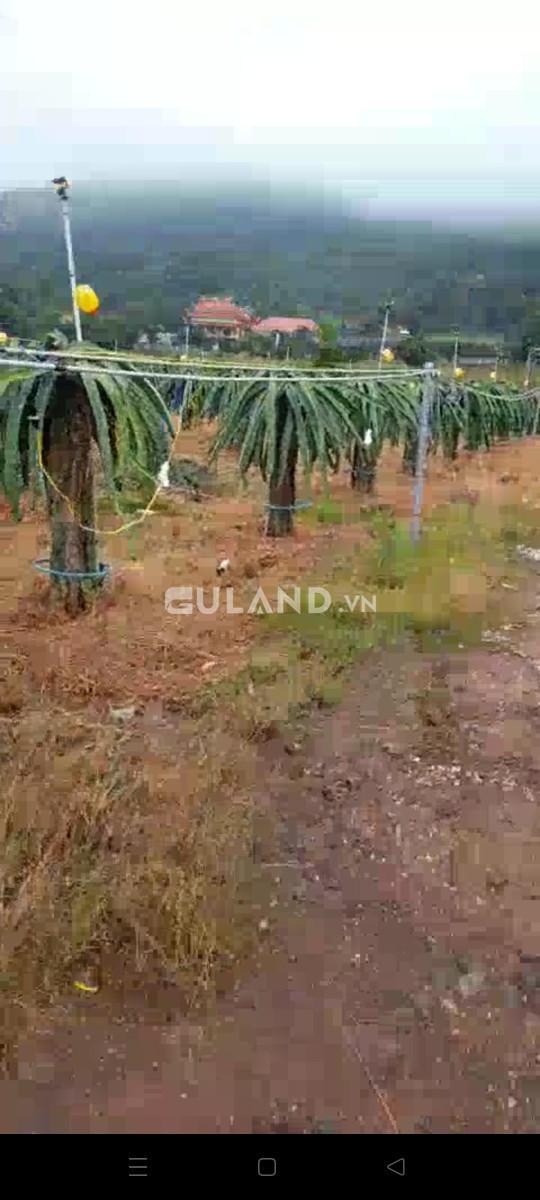 Bán đất nông nghiệp 16000m² , giá 6.5 tỷ tại, Thị trấn Tân Nghĩa, Huyện Hàm Tân, Bình Thuận