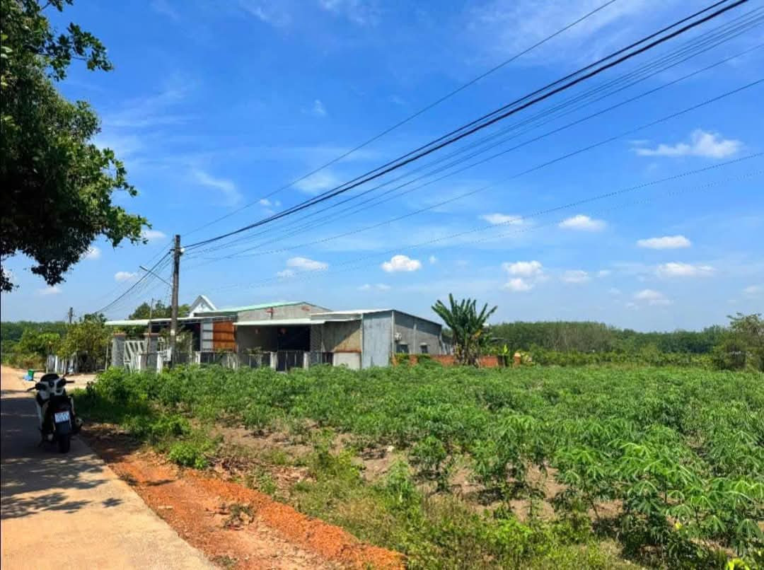 Bán đất 6336.3m² 350 triệu tại Thị trấn Tân Phú Huyện Đồng Phú