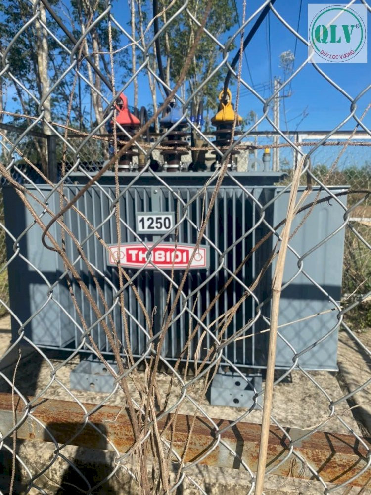 CHO THUÊ NHÀ XƯỞNG – ĐỒNG PHÚ, BÌNH PHƯỚC – 61.951m²