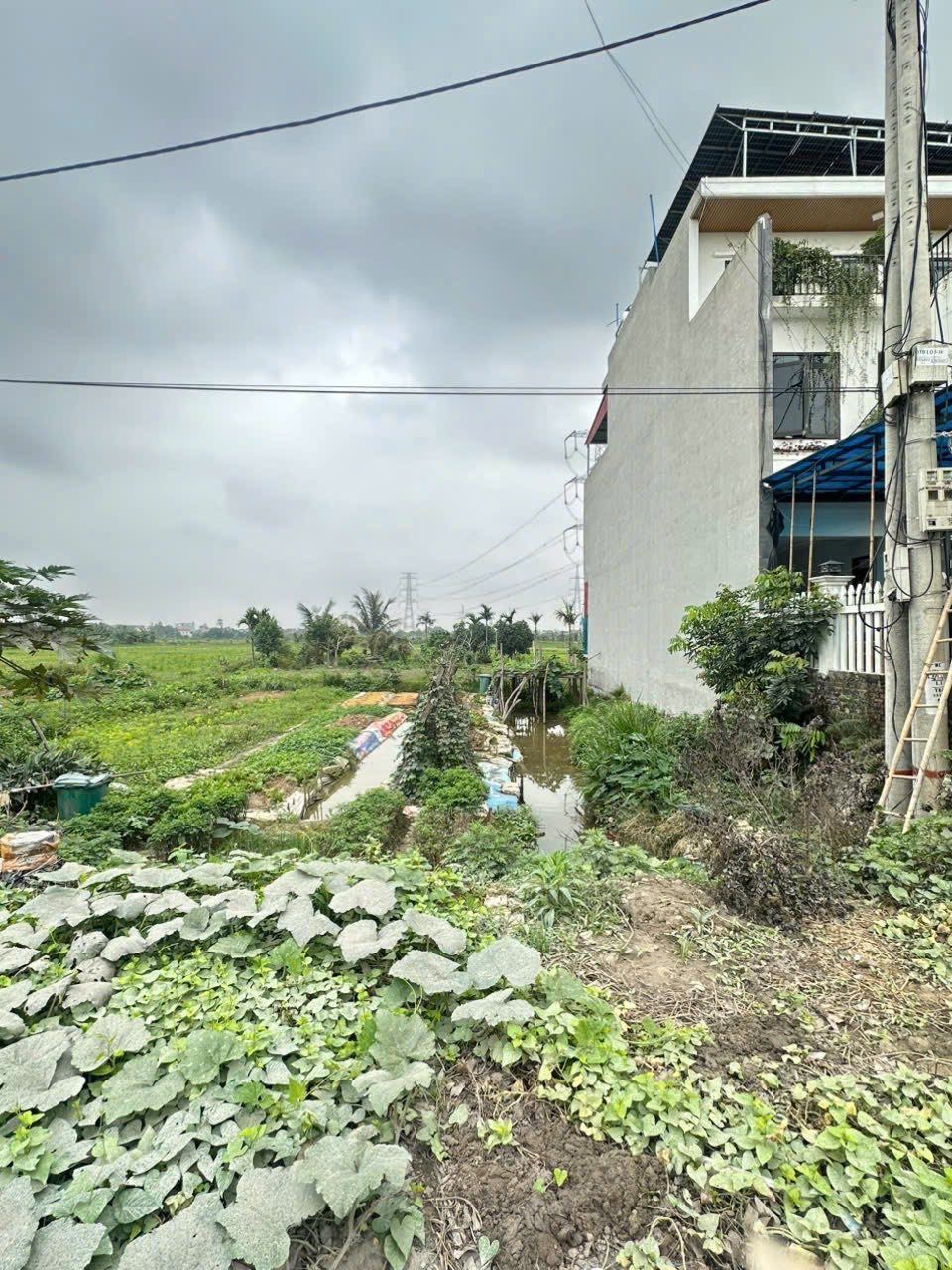 🚨 97,2m² KIM ĐÀO – LƯƠNG TÀI – BẮC NINH, MUA Ở HOẶC GIỮ TIỀN ĐỀU ĐẸP 🚨