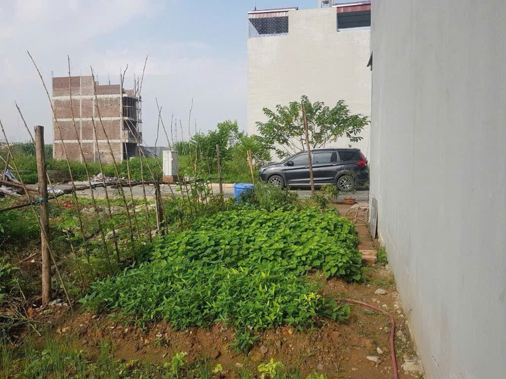BÁN ĐẤT TRẠM TRÔI-LÔ GÓC-KHÔNG LỖI-6M RA ĐƯỜNG Ô TÔ-92M, GIÁ 62TR/M