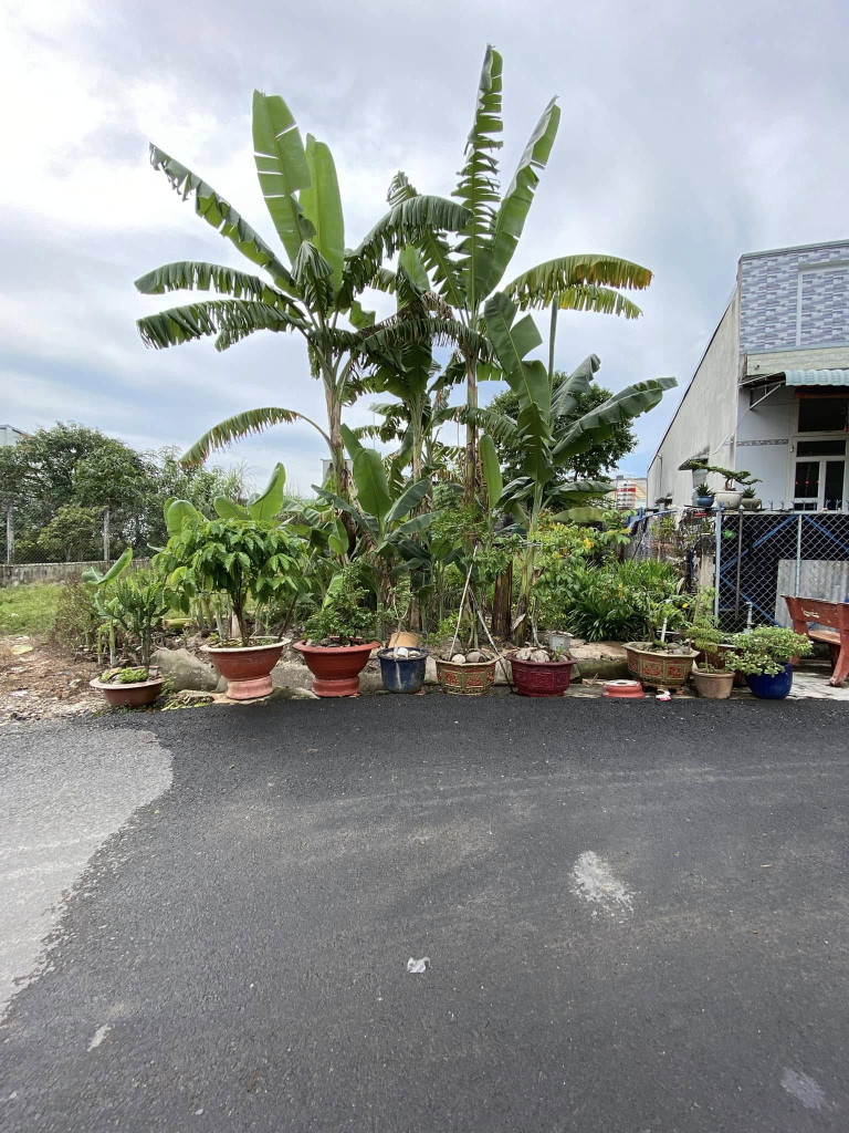 Đất 5x15 72m2 1ty250 sổ hồng riêng SDT 0394694404
