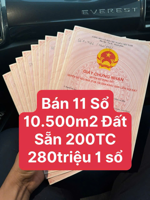 🏡 Bán 11 Sổ Đất Ngay Chợ Tân Hưng – Hớn Quản – Có Thổ Cư – Giá Chỉ 280 Triệu/Sổ