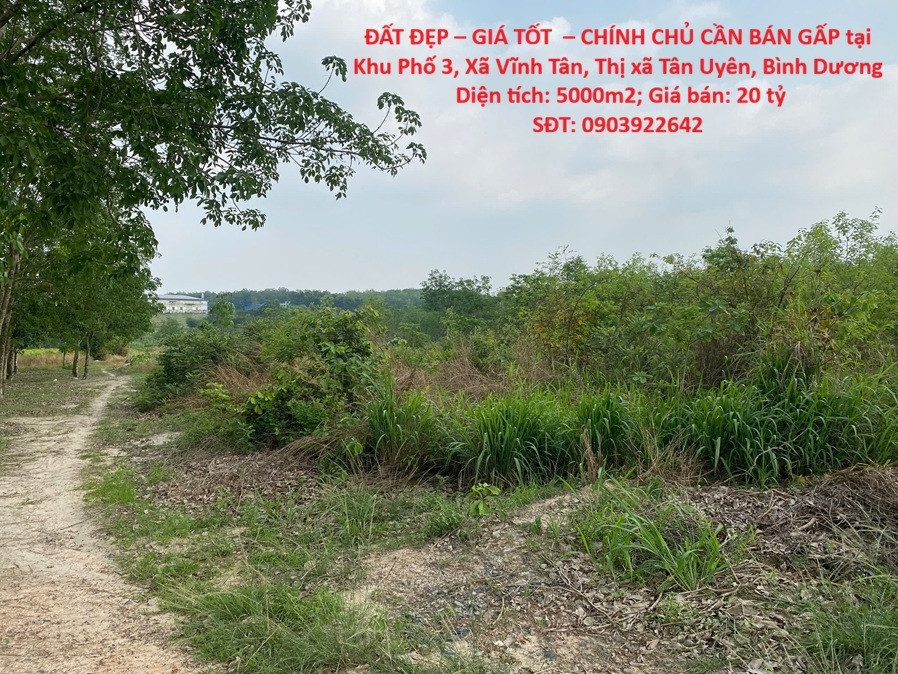 ĐẤT ĐẸP – GIÁ TỐT  – CHÍNH CHỦ CẦN BÁN GẤP tại Xã Vĩnh Tân, Thị xã Tân Uyên, Bình Dương