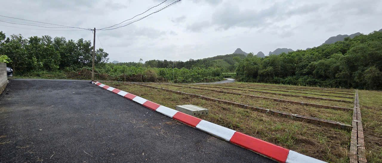 Bán Đất 134,9m² thổ cư 100m² giá 250 triệu tại Xã An Bình Huyện Lạc Thủy Hòa Bình