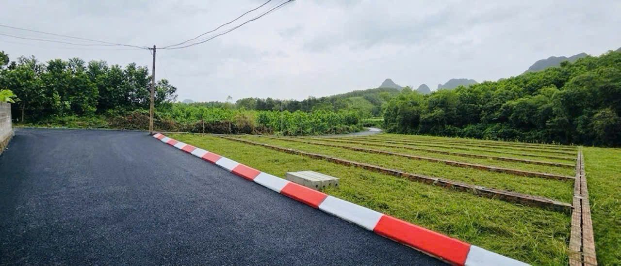 Chỉ 250TRIỆU/LÔ | SỔ ĐỎ TRAO TAY – 135M-Lạc Thủy, Hòa Bình