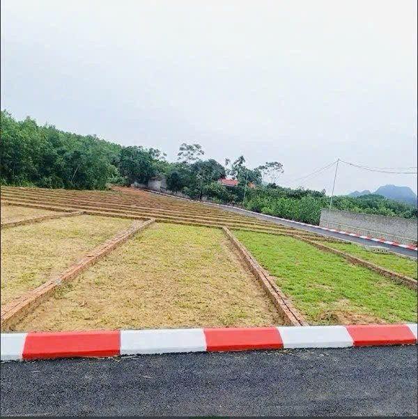 LÔ ĐẤT 90m² thổ cư 70m² giá 185 triệu tại Xã An Bình Huyện Lạc Thủy Hòa Bình