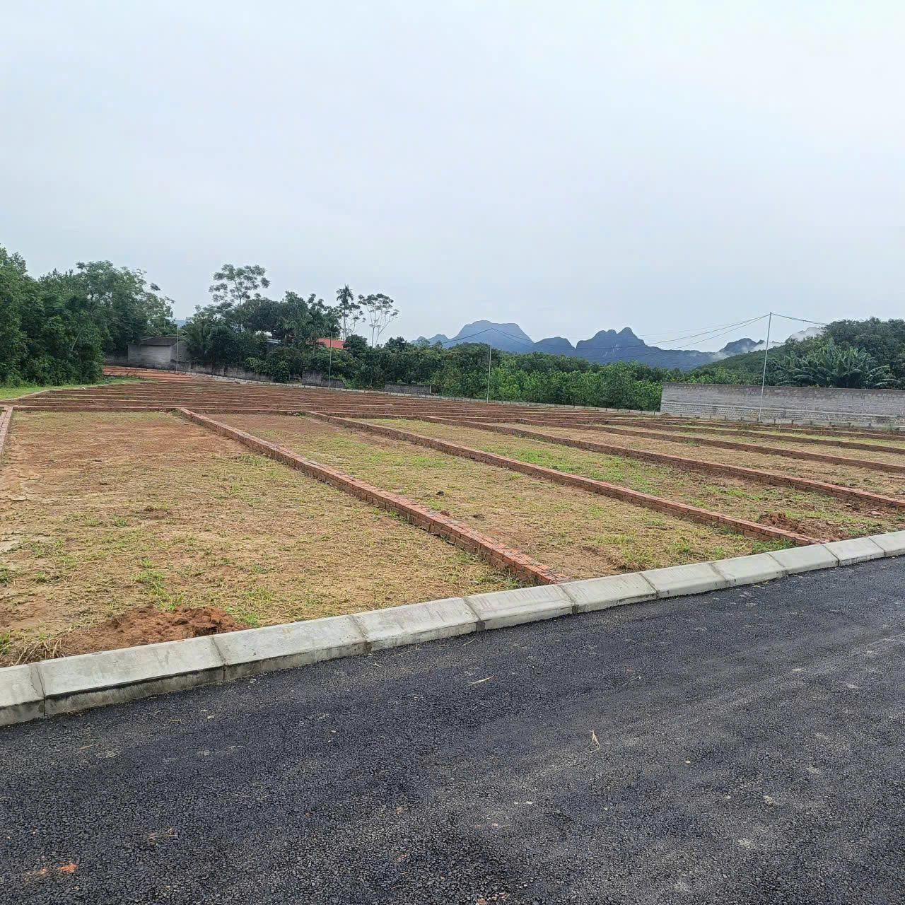 Đất Sổ Đỏ FULL Thổ Cư Ngay Trung Tâm An Bình Lạc Thủy