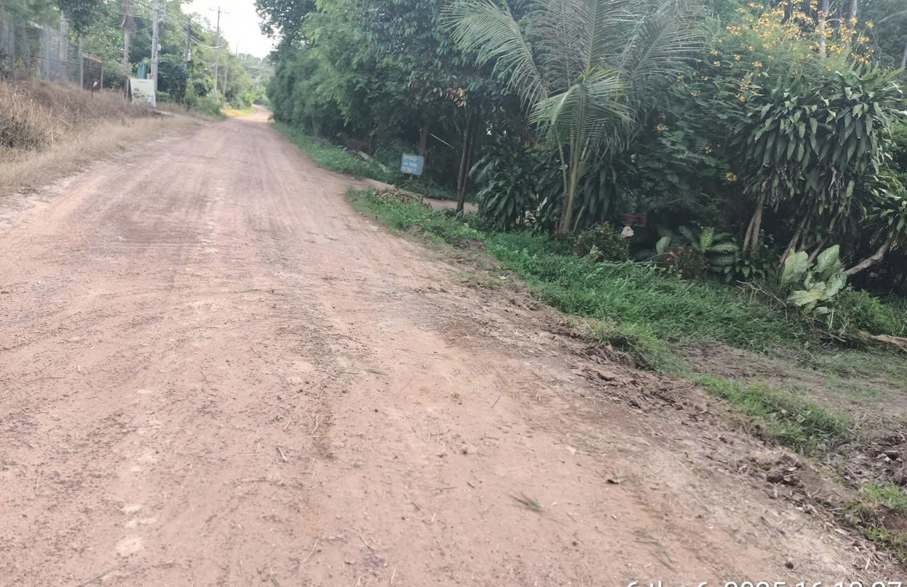 Bán đất An Điền giá rẻ mặt tiền nhiều phù hợp làm nhà vườn phân lô