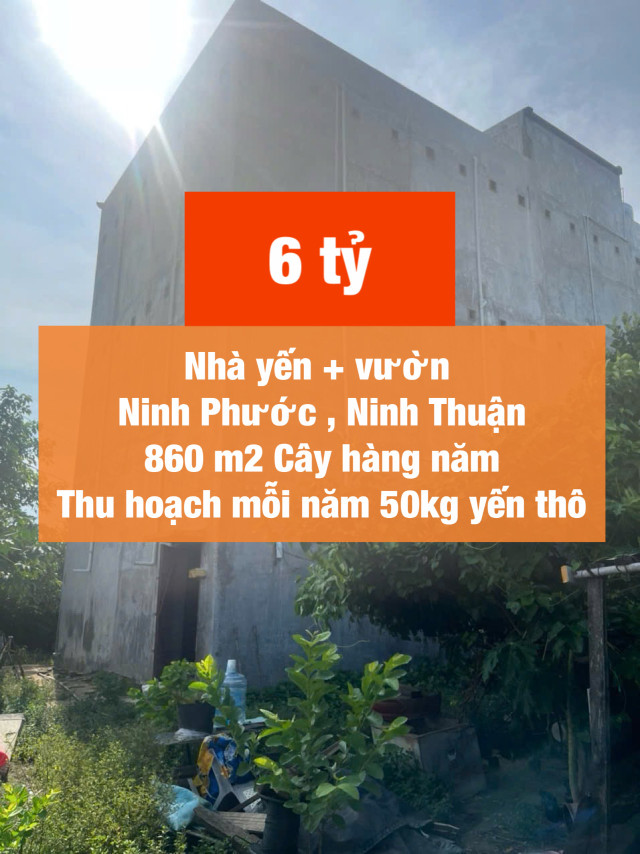 Bán nhà yến đang thu hoạch gần Tp. Phan Rang chỉ 6 tỷ