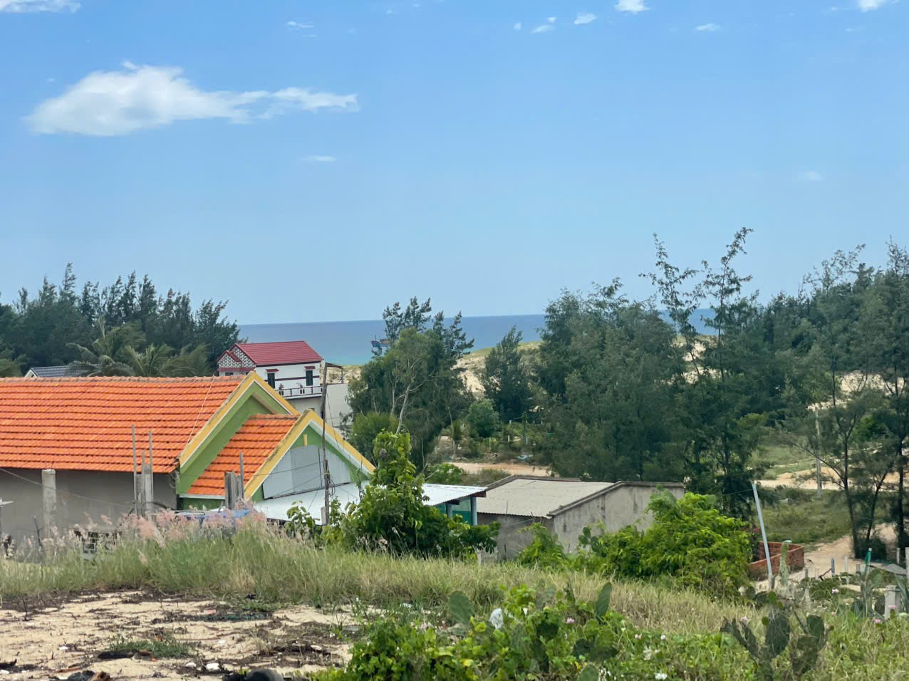 Đất biễn bãi trường