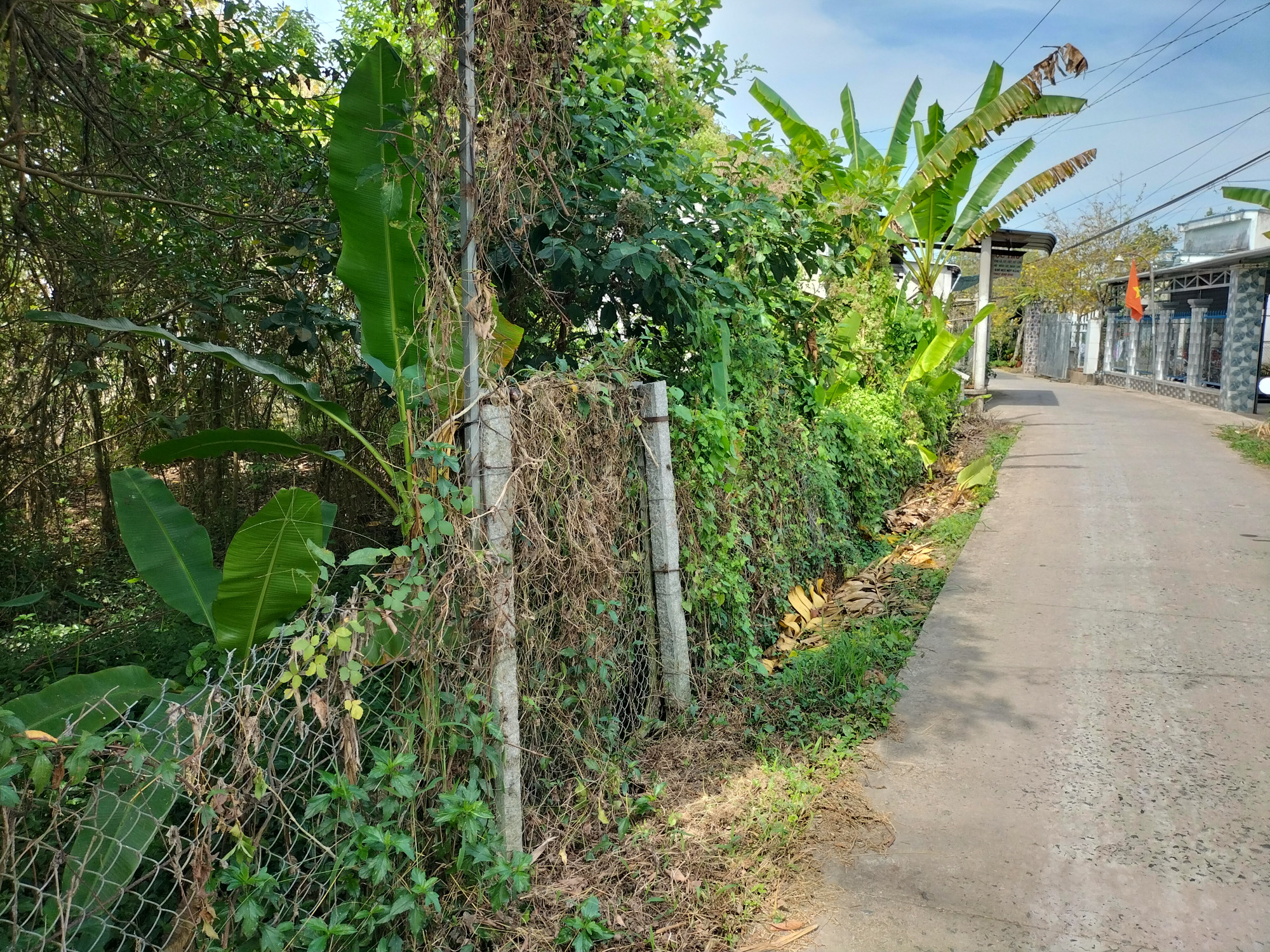 Bán đất thổ cư 251.6m² chính chủ tại Xã An Hiệp Huyện Châu Thành Đồng Tháp