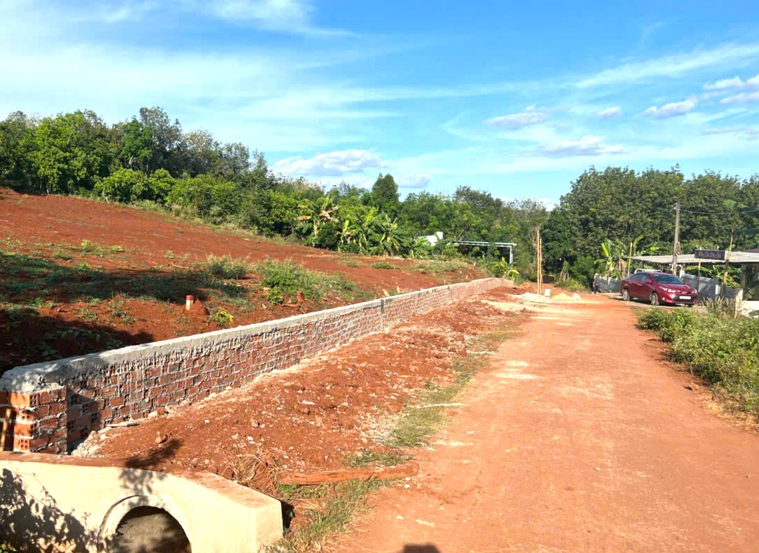 BÁN 1 CẶP LIỀN KỀ (10X50=510M2) ĐẤT TC FULL SỔ RIÊNG NGAY SÂN BAY DÂN ĐÔNG 235 TRIỆU