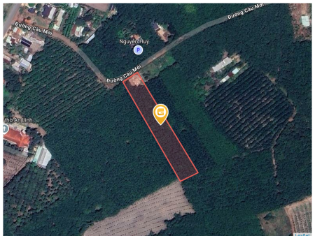 Bán đất 4728.6m² 1.3 tỷ tại Xã An Linh Huyện Phú Giáo