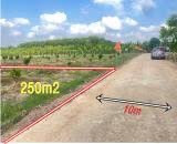 CẦN BÁN LÔ THỔ CƯ PHÚ GIÁO