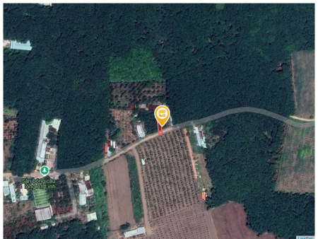 Bán đất 167.6m² tại Xã An Linh Huyện Phú Giáo