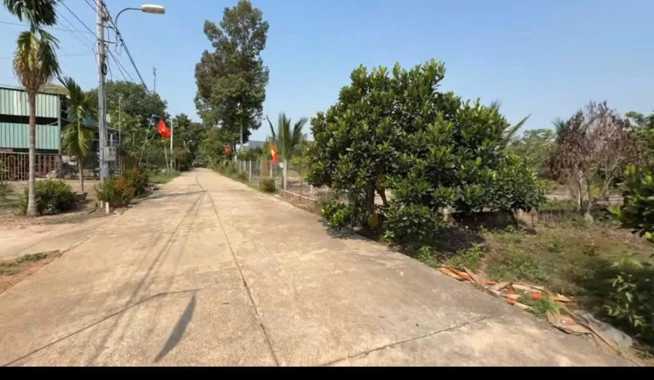 Hơn 800m2 đất THỔ CƯ SHR ngang 15m dài 54m. Ngay trường C2, cách KHU CÔNG NGHIỆP 1KM. Giá cắt lỗ 850tr khách thiện chí tìm mua gọi 0903263878 xem sổ đất.