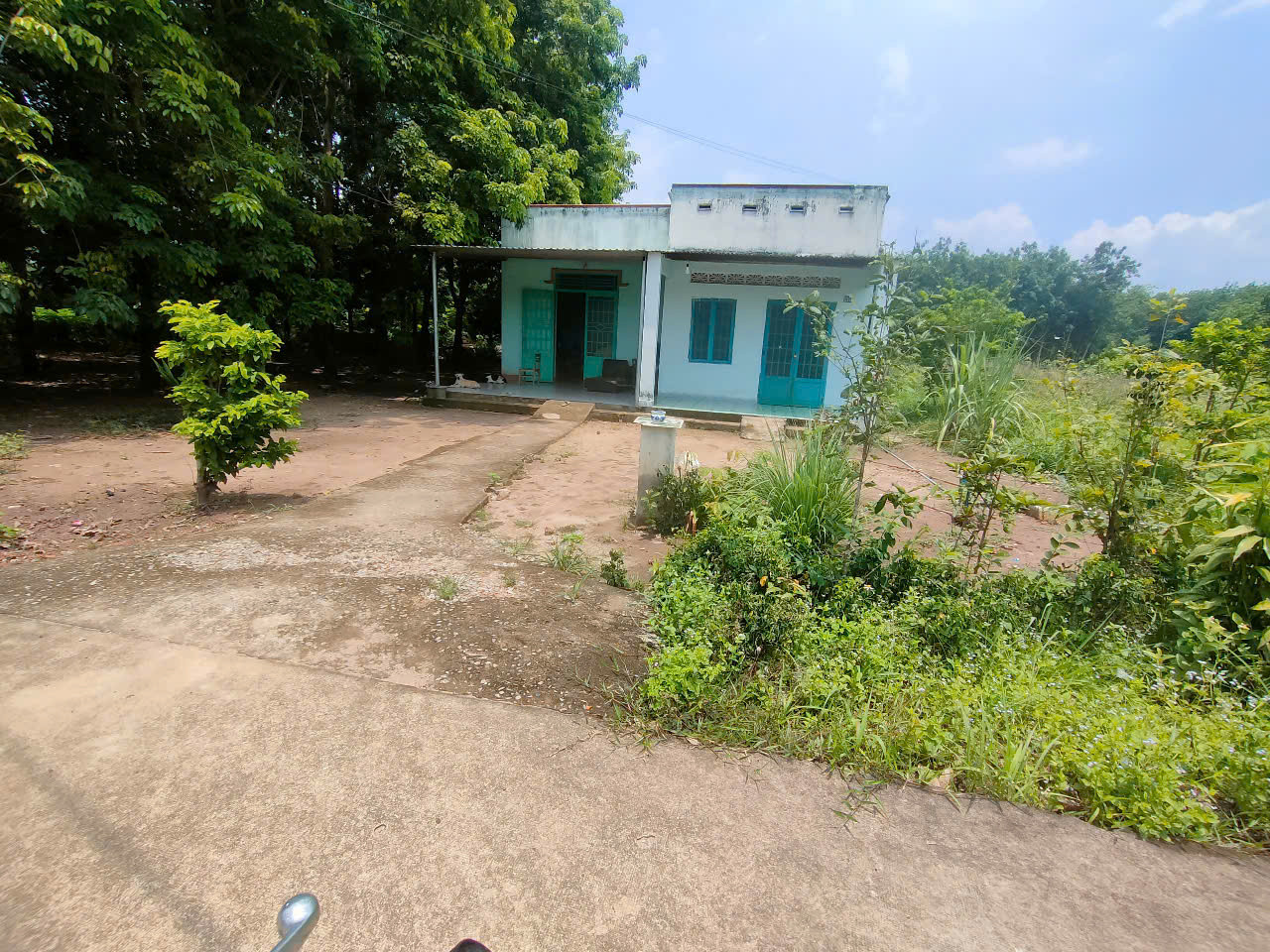 Bán nhà 815.2m² ngang 19m giá 1.9 tỷ Xã An Long