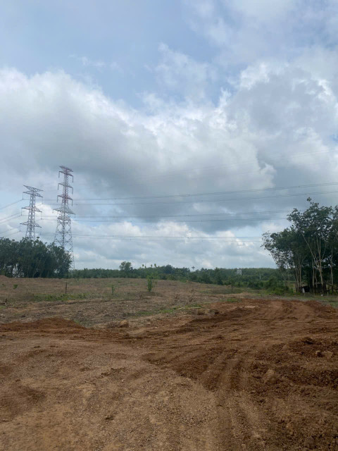 Cho thuê đất trống CLN tại Xã An Long, Tp. Hồ Chí Minh giá 20tr DT 4,5 ha