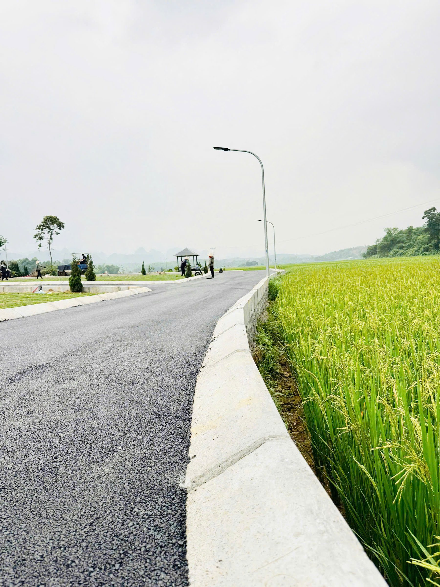 🔥 ĐẤT FULL THỔ CƯ GIÁ HƠN 300TR – TRUNG TÂM BA HÀNG ĐỒI