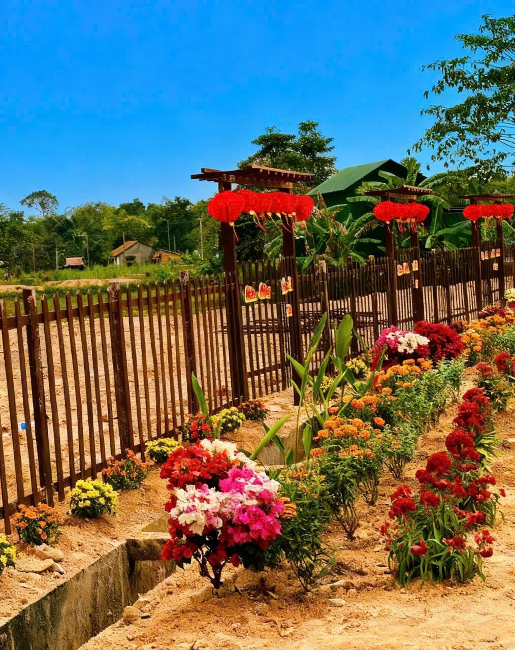 Bán đất an nhơn, Đạ Teh giá rẻ