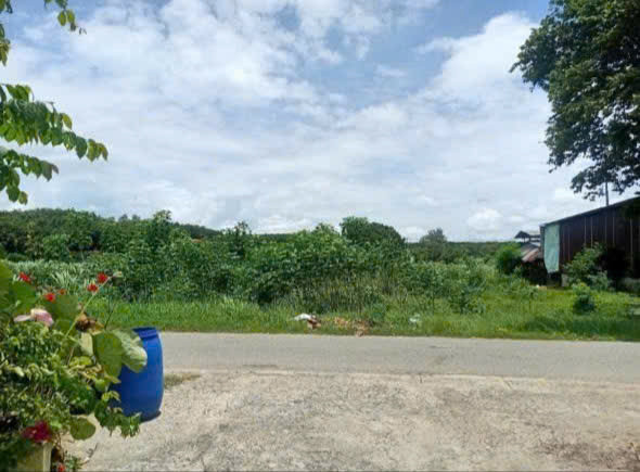(L757) Đất mặt tiền Hố Bò, xã Phú Mỹ Hưng, dt 1.154m2, đất ở, giá 4 tỷ 800