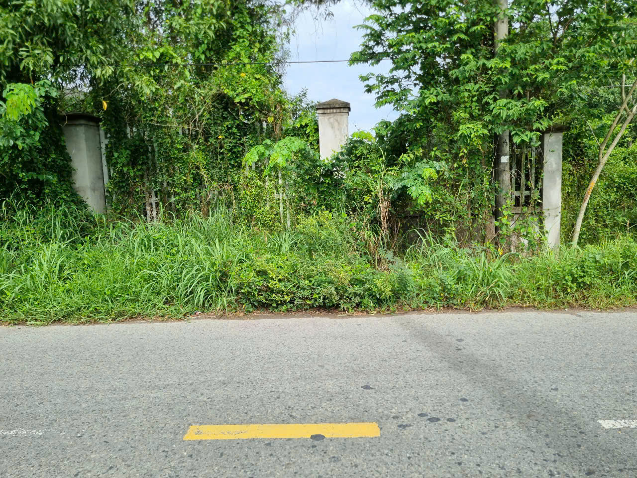 (L672) Đất mặt tiền An Nhơn Tây, xã An Nhơn Tây, dt 873m2, đất ở hiện hữu, sx, giá 4 tỷ 800 TL