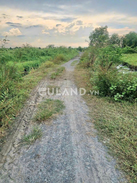 (S328) (Đã bán ) Đất cây hàng năm khác, xã An Nhơn Tây, dt 500m2, chỉ 620tr