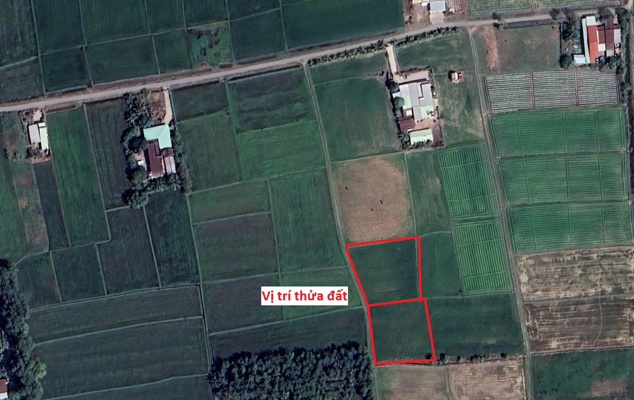 Bán đất lúa 2358m² tại An Ninh Tây, Đức Hòa, Long An - Gần TP.HCM, giá chỉ 2.35 tỷ