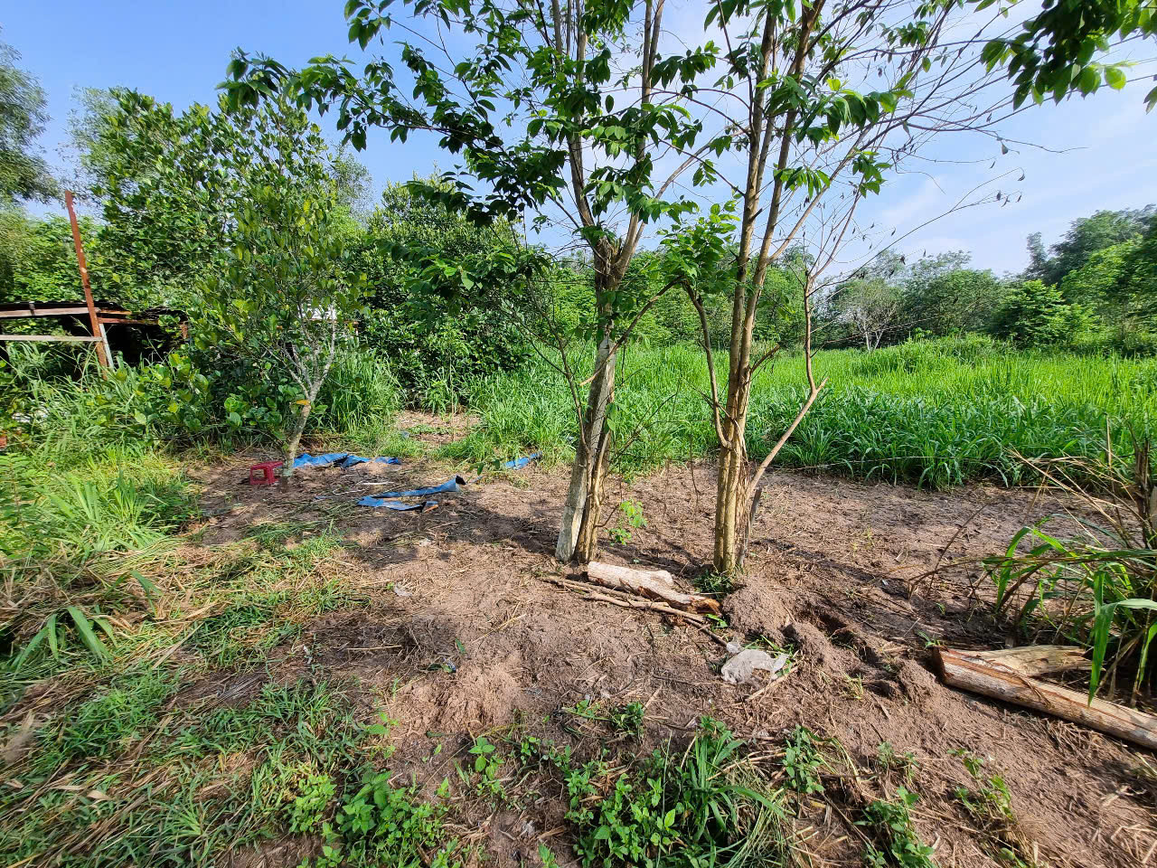 (S611) Đất xã An Phú, dt 1.934m2, đất ONT, giá 1 tỷ 650